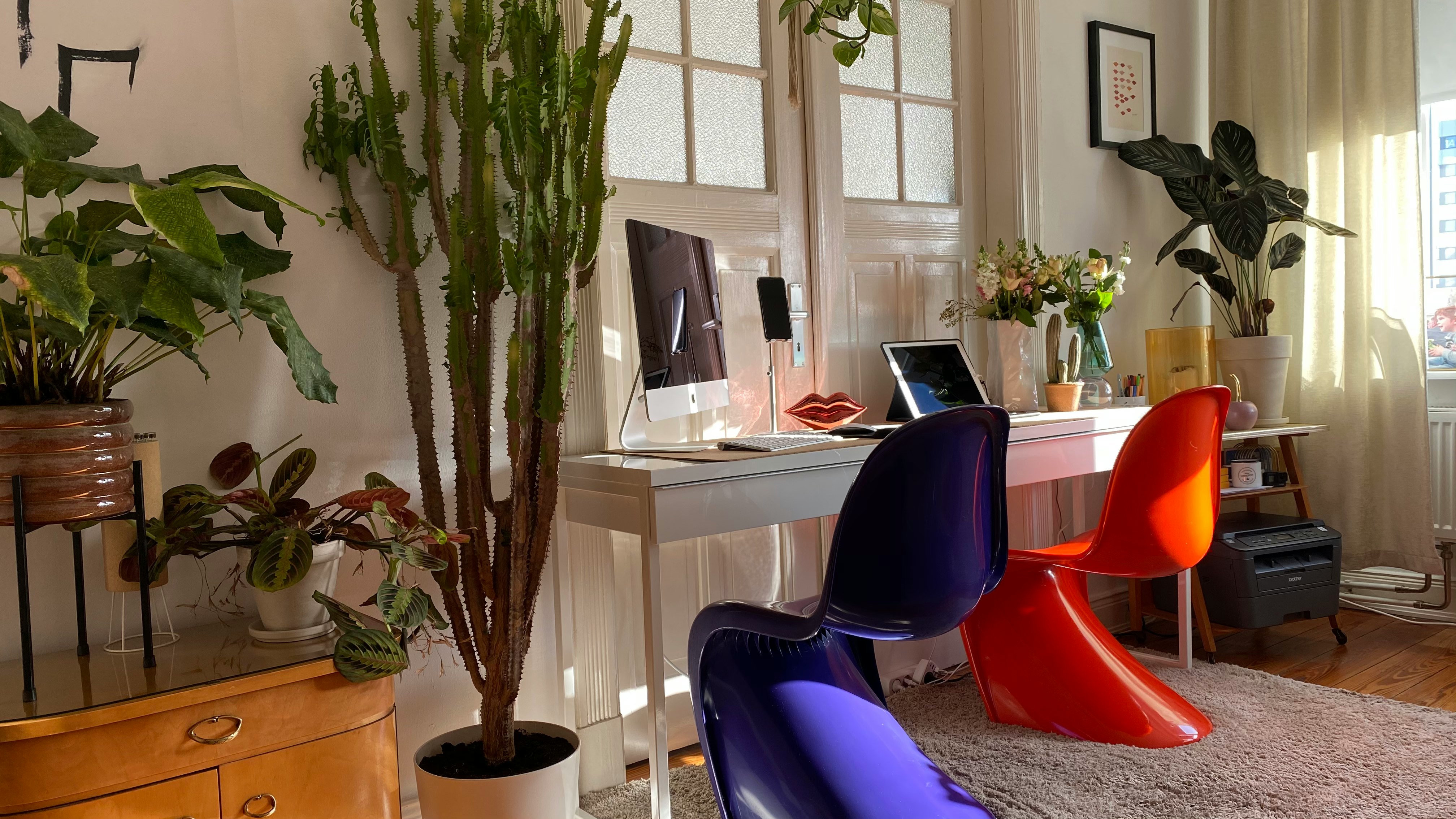 green indoor plant on brown wooden table